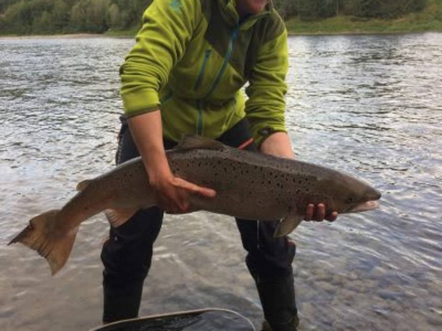 Laks-Utpaa-Neset-400x516